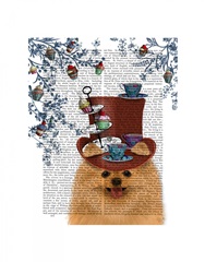 Pomeranian Milliners Dog