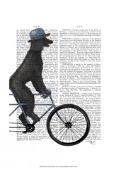 Poodle on Bicycle, Black