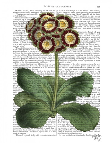Primula Auricula Red
