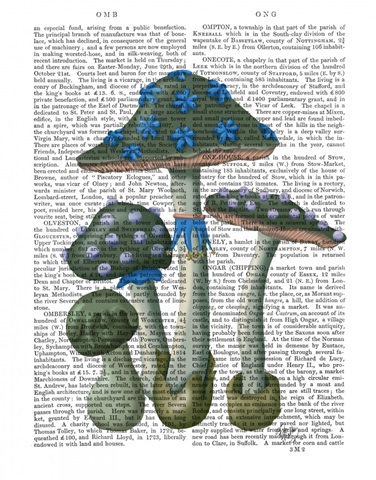 Psychedelic Mushrooms 1