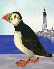 Puffin On the Quay