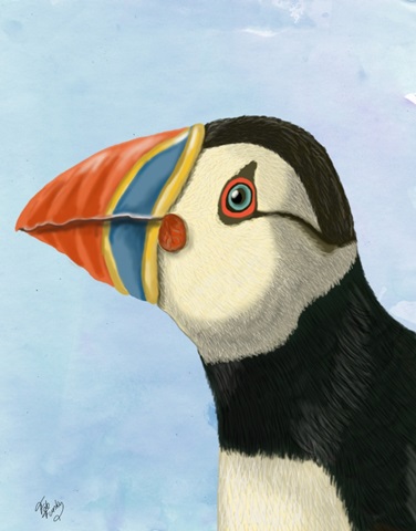 Puffin Portrait