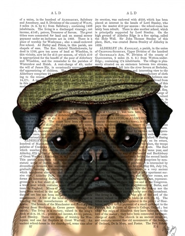 Pug in Flat Cap