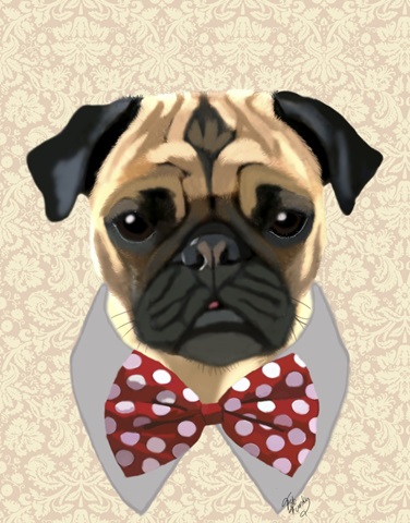 Pug with Red and White Spotty Bow Tie