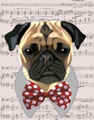 Pug with Red and White Spotty Bow Tie