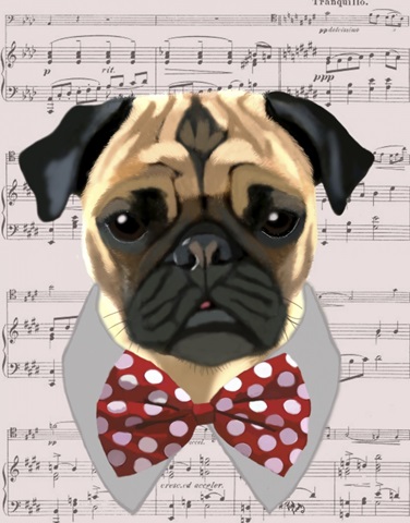 Pug with Red and White Spotty Bow Tie