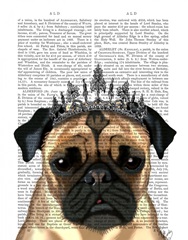 Pug With Tiara