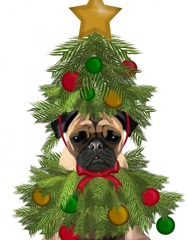 Pug, Christmas Tree Costume