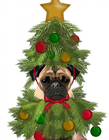 Pug, Christmas Tree Costume