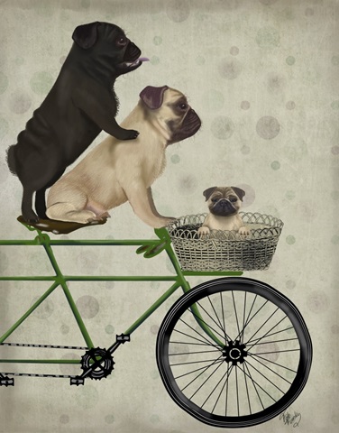 Pugs on Bicycle