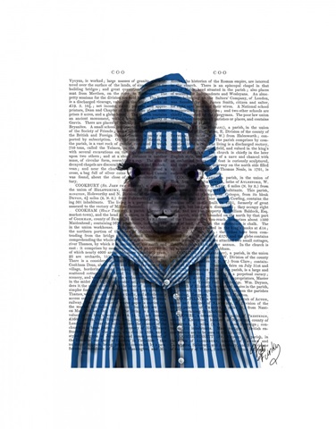 Pyjama Llama