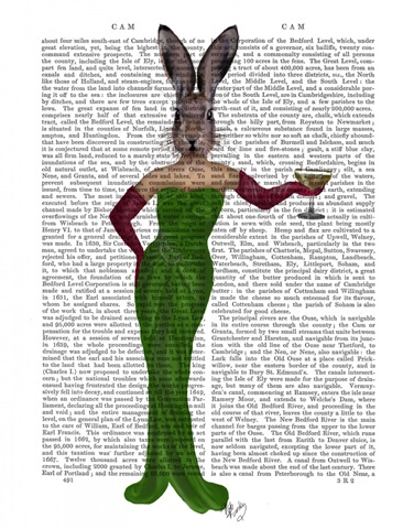 Rabbit Green Dress