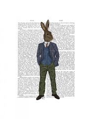 Rabbit in Blue Waistcoat