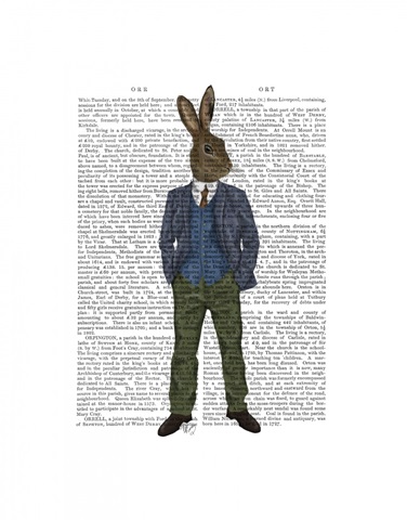 Rabbit in Blue Waistcoat