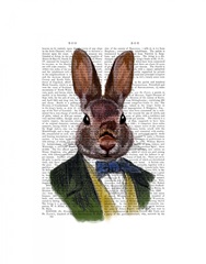 Rabbit in Green Jacket