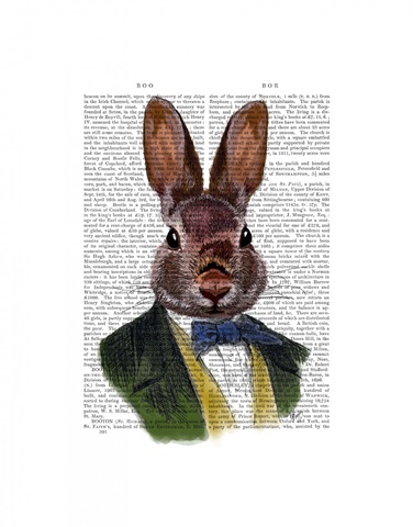 Rabbit in Green Jacket