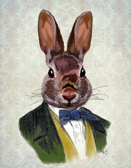 Rabbit in Green Jacket