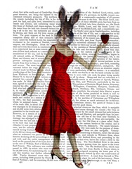Rabbit in Red Dress