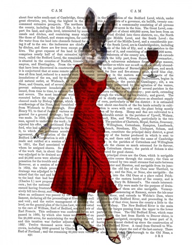 Rabbit in Red Dress