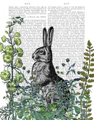 Rabbit in The Garden