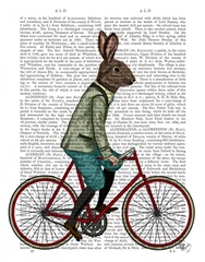 Rabbit On Bike