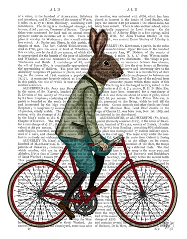 Rabbit On Bike