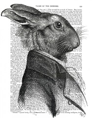 Rabbit Portrait Profile
