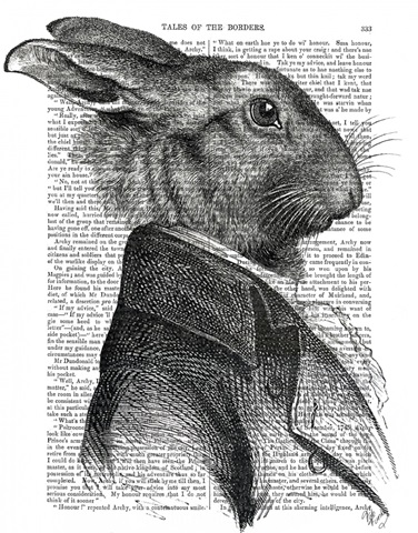 Rabbit Portrait Profile