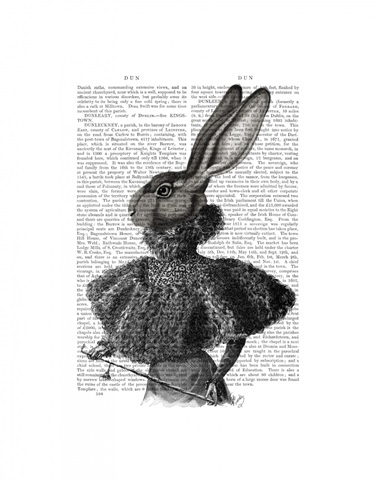 Rabbit with Feather Collar