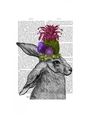 Rabbit, Fruit Headdress