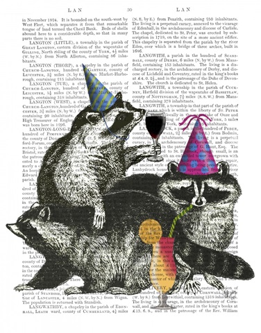 Raccoon Party
