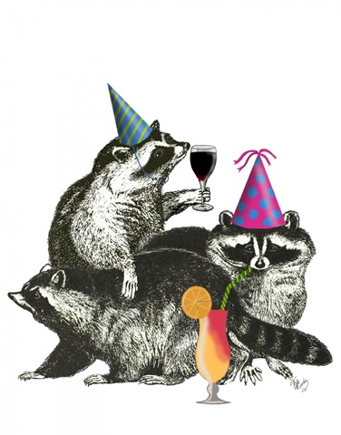 Raccoon Party