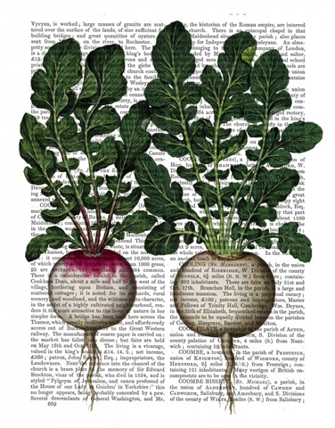 Radishes Print