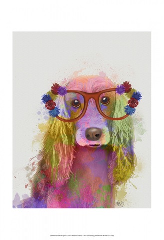 Rainbow Splash Cocker Spaniel, Portrait