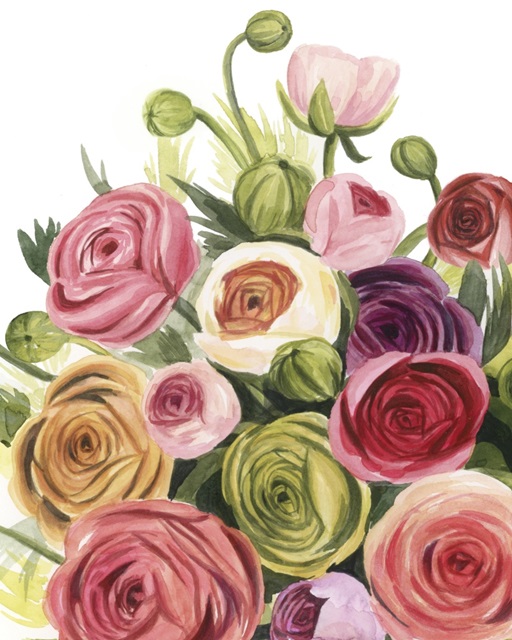 Ranunculus Study I