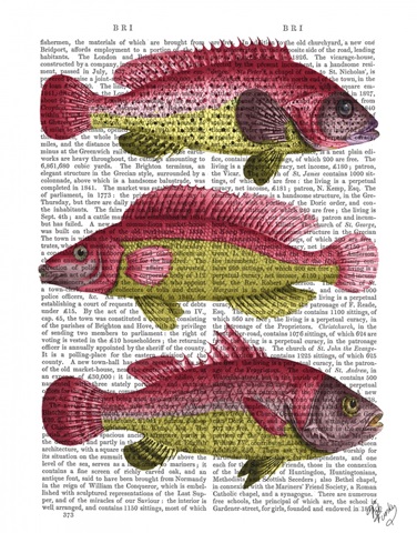 Red and Yellow Fantasy Fish Trio