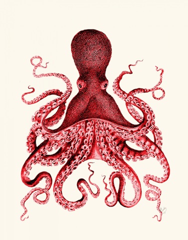 Red Octopus 3