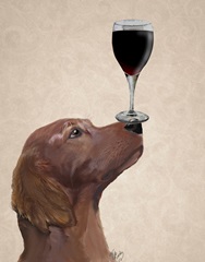 Red Setter Dog Au Vin