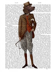 Red Setter Rider Full