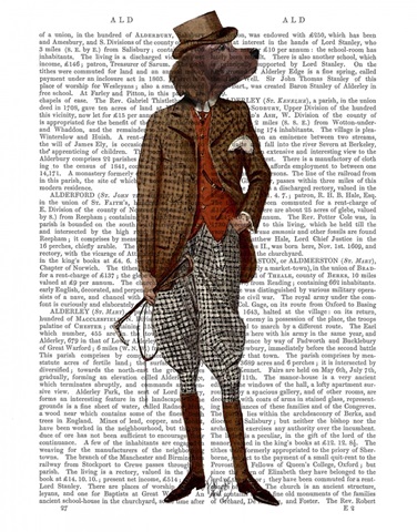 Red Setter Rider Full