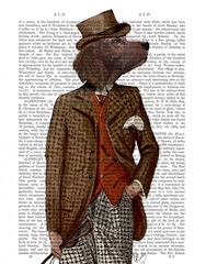 Red Setter Rider Portrait