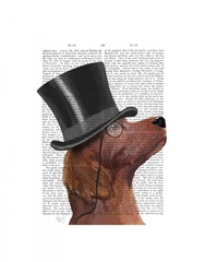 Red Setter, Formal Hound and Hat