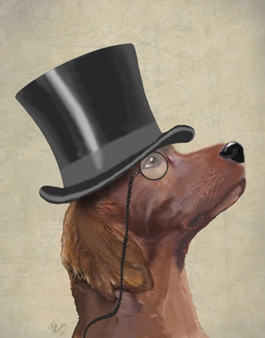 Red Setter, Formal Hound and Hat