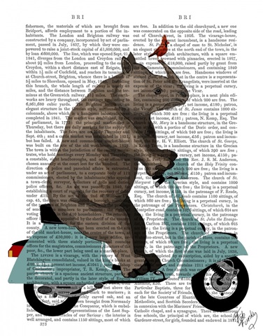 Rhino on Moped