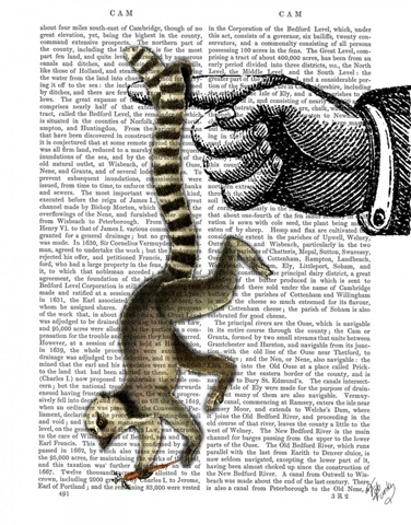 Ring Tailed Lemur on Finger