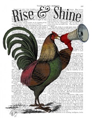 Rooster With Loudhailer