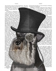 Schnauzer, Formal Hound and Hat