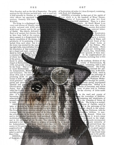 Schnauzer, Formal Hound and Hat