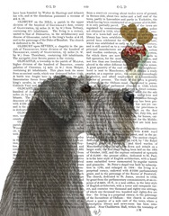 Schnauzer, Grey, Ice Cream