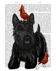 Scottish Terrier and Birds